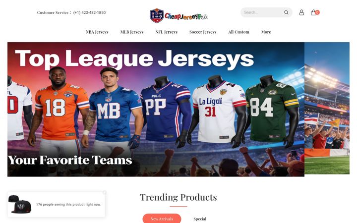 Screenshot of cheapjerseyfan.com