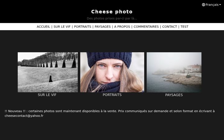 Screenshot of cheese-photo.com