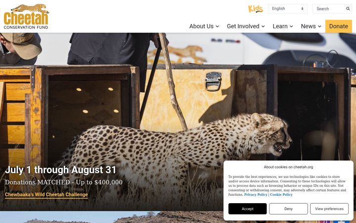 Zrzut ekranu cheetah.org