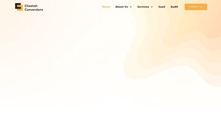 Screenshot of cheetahconversions.com
