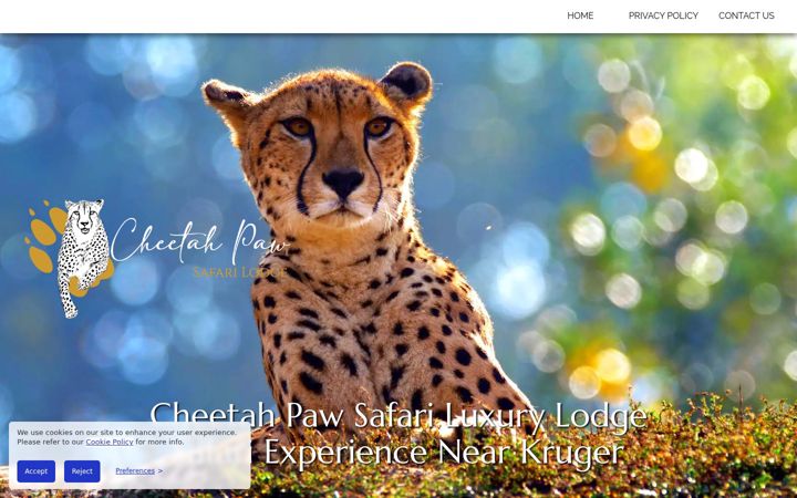 Screenshot of cheetahpaw.com