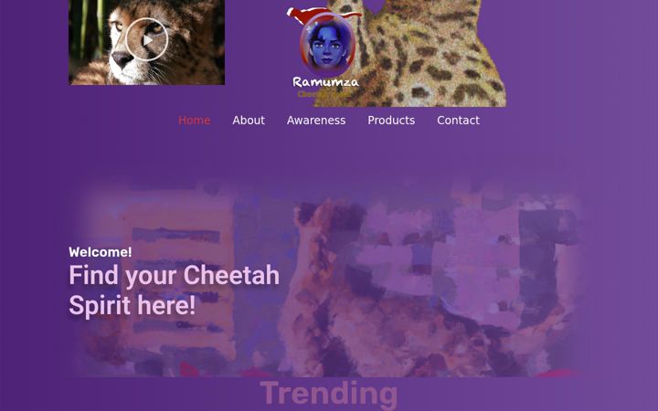 Screenshot of cheetahspirit.com