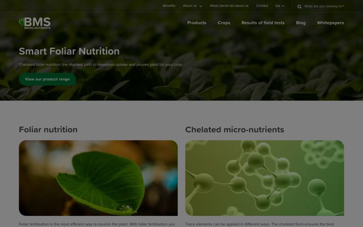 Screenshot of chelal.com