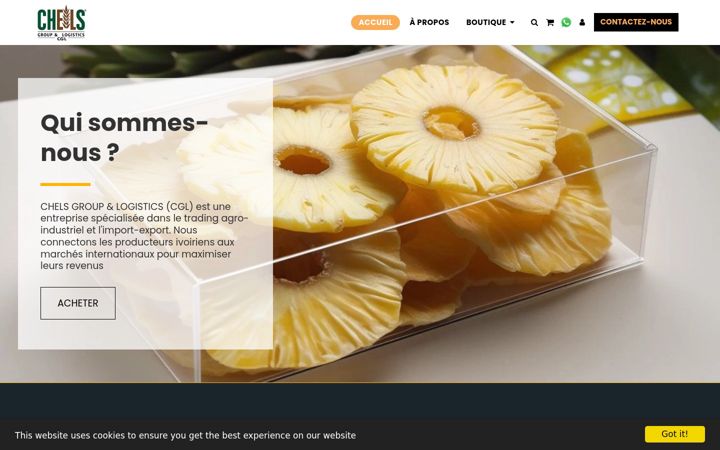 Screenshot of chelsgrouplogistics.com