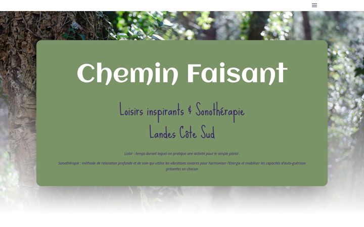 Screenshot of cheminfaisant-detente-sons.com