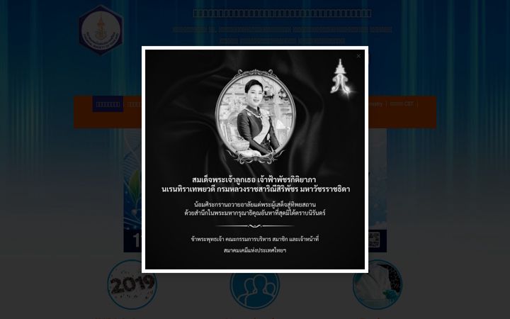 Screenshot von chemsocthai.org