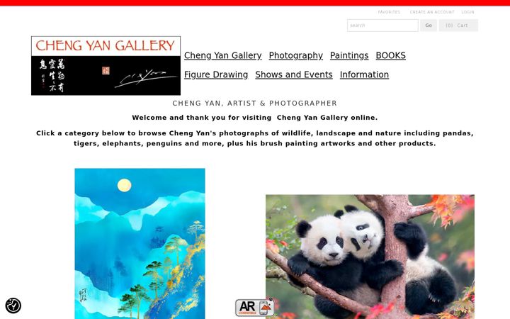 Screenshot di chengyan.net