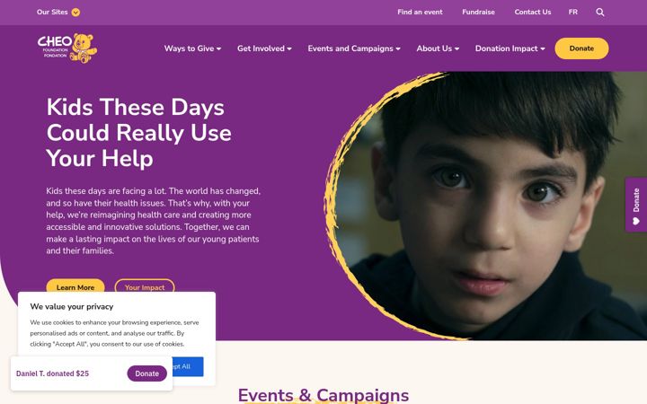 Screenshot of cheofoundation.com