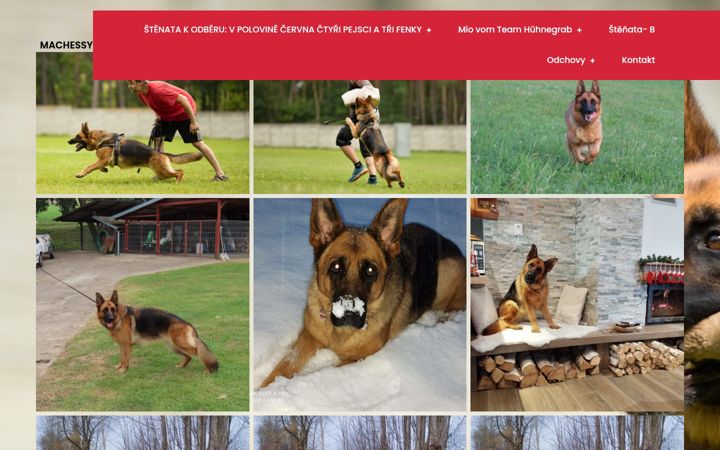 Posnetek zaslona chessy.cz