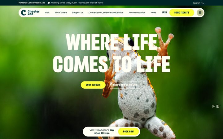 Screenshot of chesterzoo.org