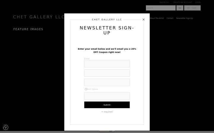 Screenshot of chetb-simpsonstore.com