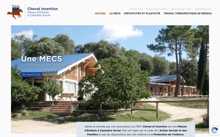 Screenshot of cheval-insertion.com