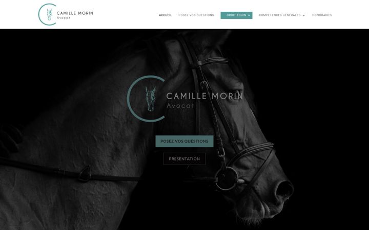 Screenshot ta' chevalavocat.fr