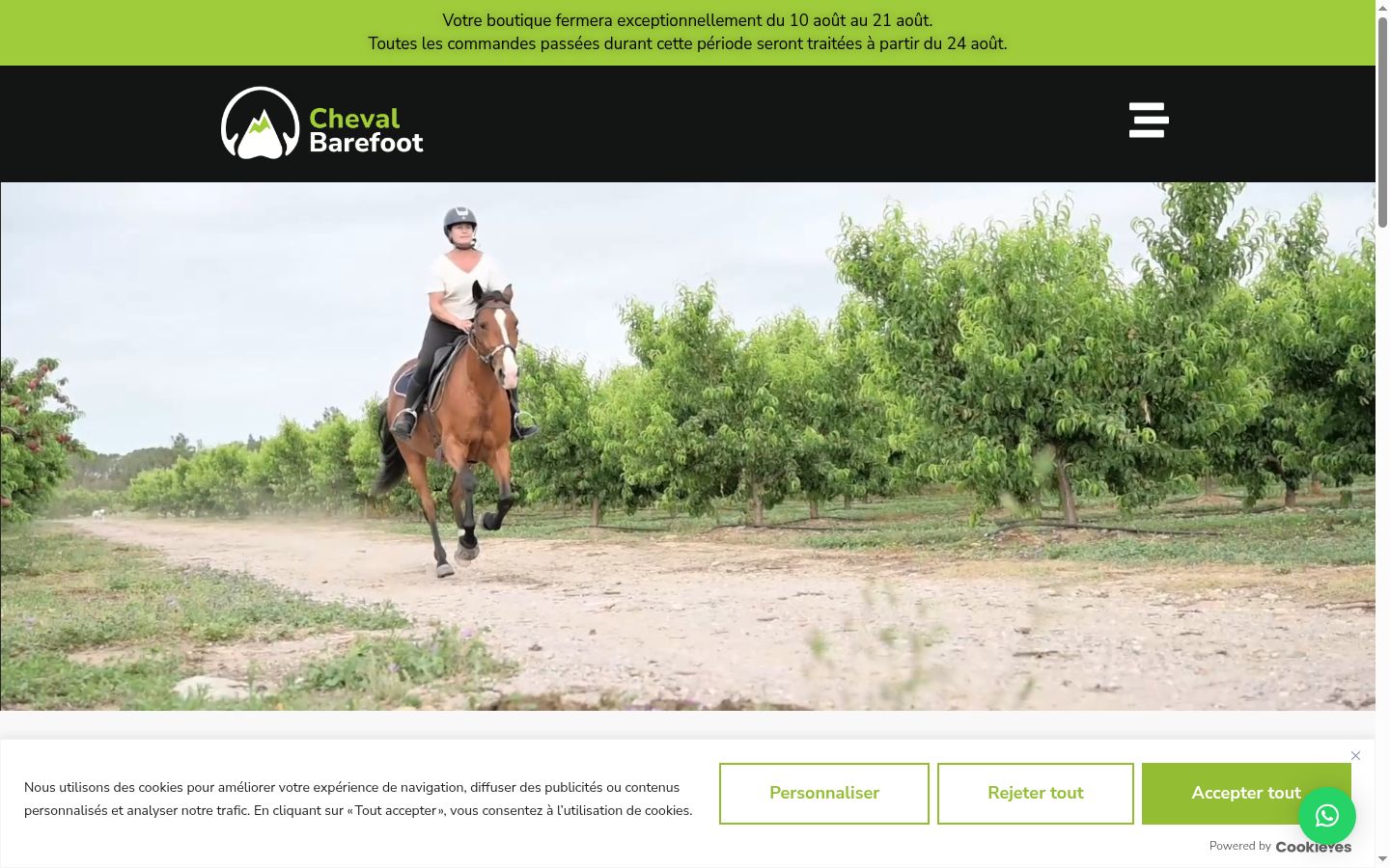 Screenshot tal-banner tal-kunsens muri qabel kwalunkwe interazzjoni