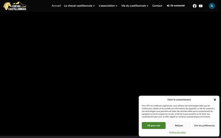 Screenshot ta' chevalcastillonnais.fr