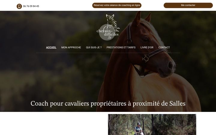 Skærmbillede af chevaux-difficiles.fr