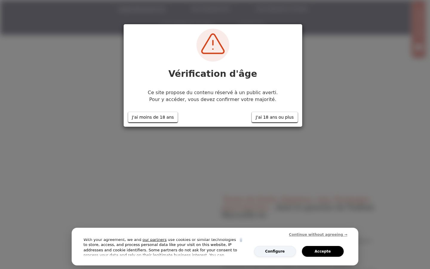 Capture d'écran de la bannière de consentement affichée avant toute interaction