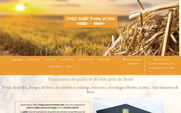 Ekrānuzņēmums no chezgabypailletfoin.fr