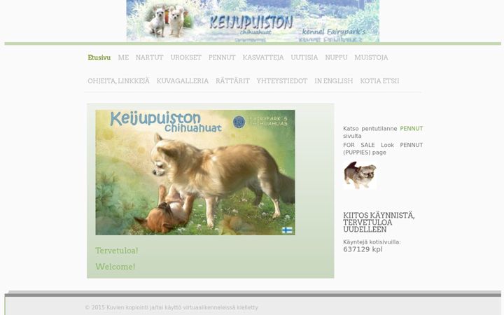 Screenshot of chi-keijupuisto.com