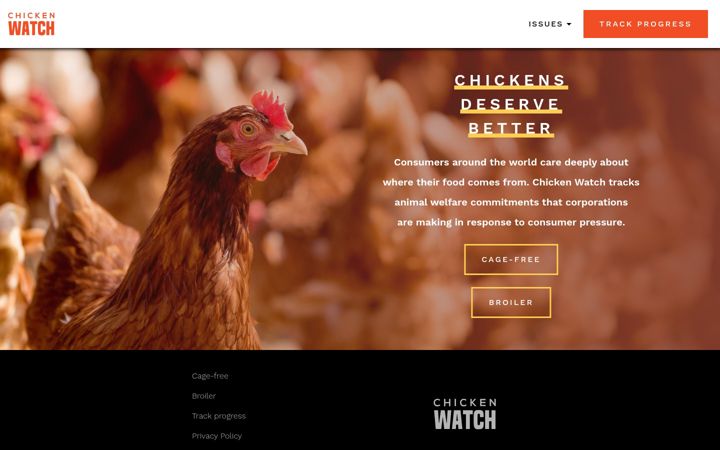 Snímek obrazovky chickenwatch.org