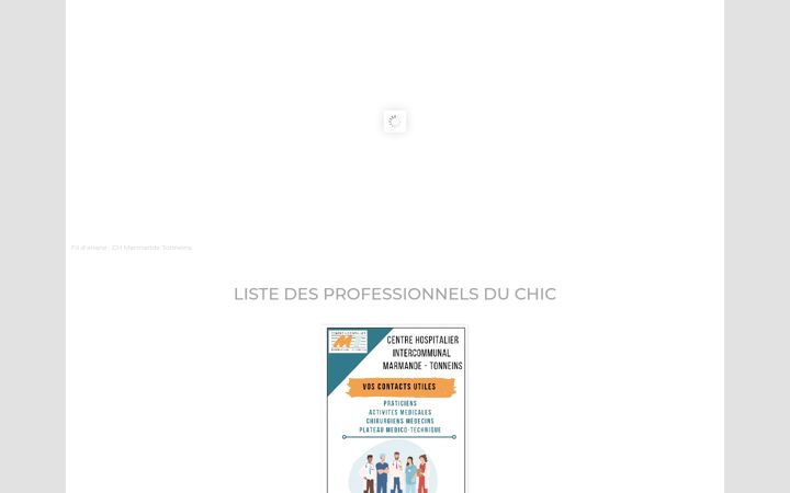 Captura de ecrã de chicmt.fr