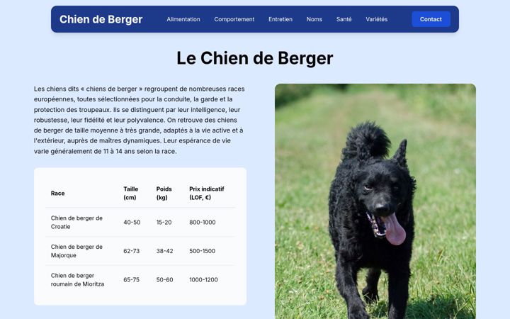 Captura de ecrã de chien-de-berger.fr