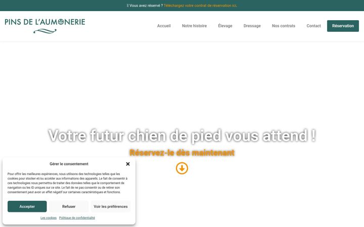 Captura de ecrã de chien-de-pied-rapprocheur.fr