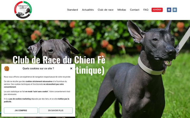 Captura de ecrã de chienfe.fr