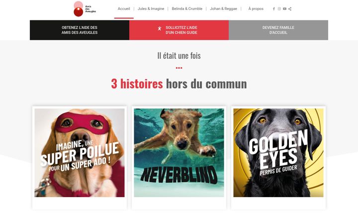 Snímek obrazovky chiens-guides.org