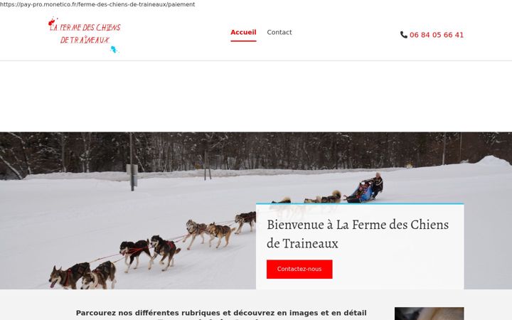 Screenshot του chiensdetraineauxaillonsmargeriaz.fr
