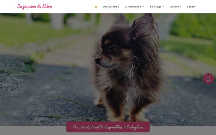 Screenshot van chihuahua-sud.fr
