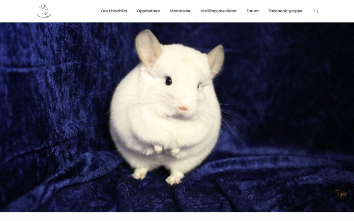 Skärmbild av chinchilla.no