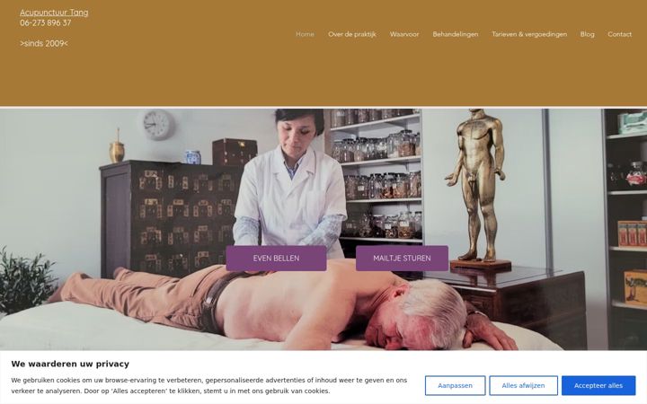Kuvakaappaus sivustosta chineesgezondheidscentrum.nl