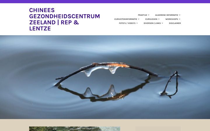 Kuvakaappaus sivustosta chineesgezondheidscentrumzeeland.nl