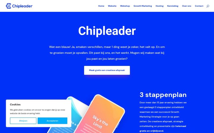 Kuvakaappaus sivustosta chipleader.nl