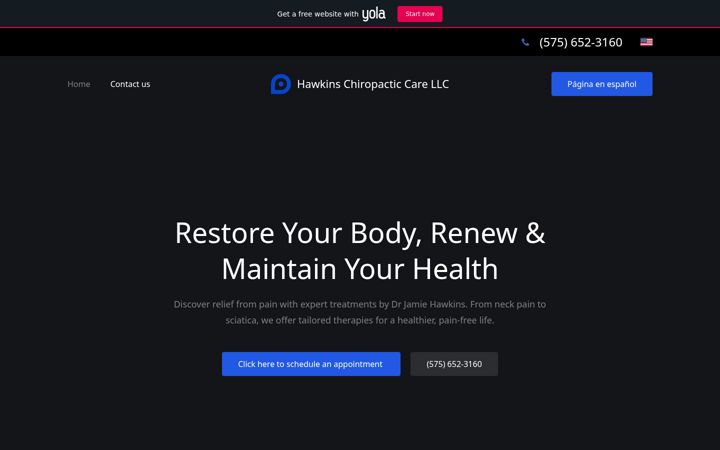 Screenshot of chirohawk.com