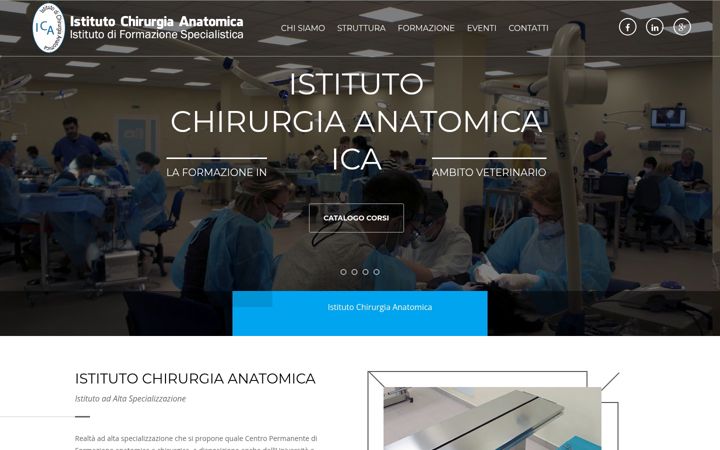 Snímek obrazovky chirurgiaanatomica.it
