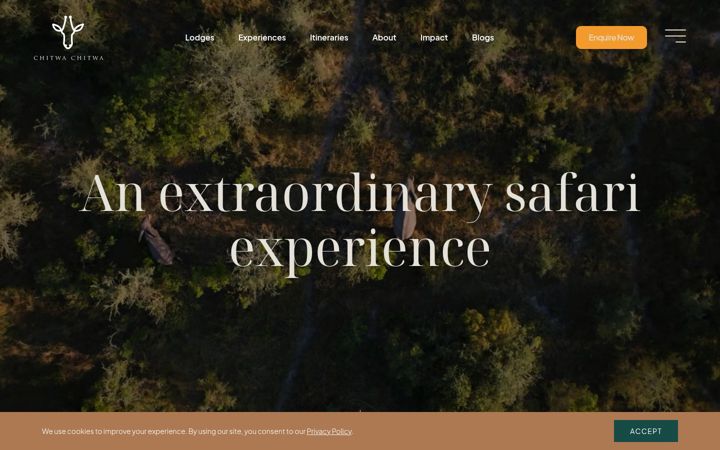 Képernyőkép: chitwa.co.za