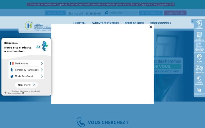 Zrzut ekranu chiv.fr