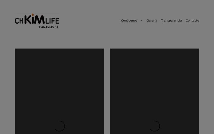 Screenshot von chkimlifecanarias.es