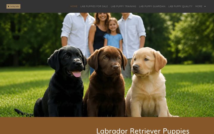 Captura de pantalla de chocolatelabradorretriever.ca