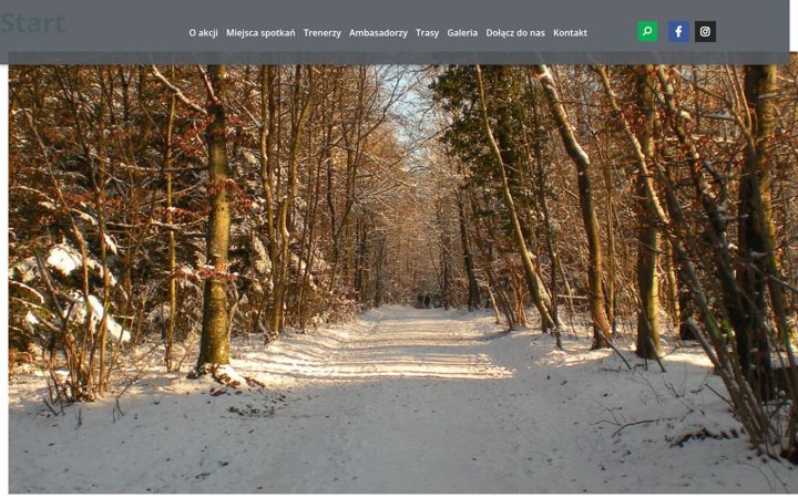 Screenshot of chodzebolubie.pl