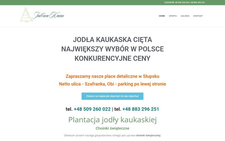 Screenshot of choinki-swiateczne.pl