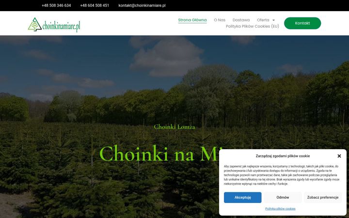 Screenshot of choinkinamiare.pl