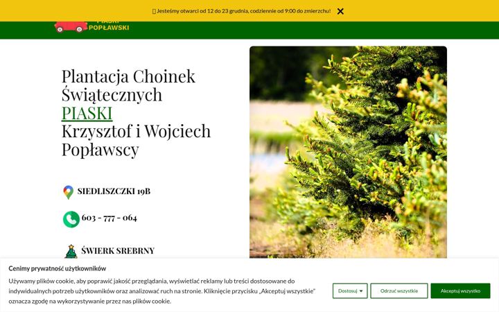 Screenshot of choinkipiaski.pl