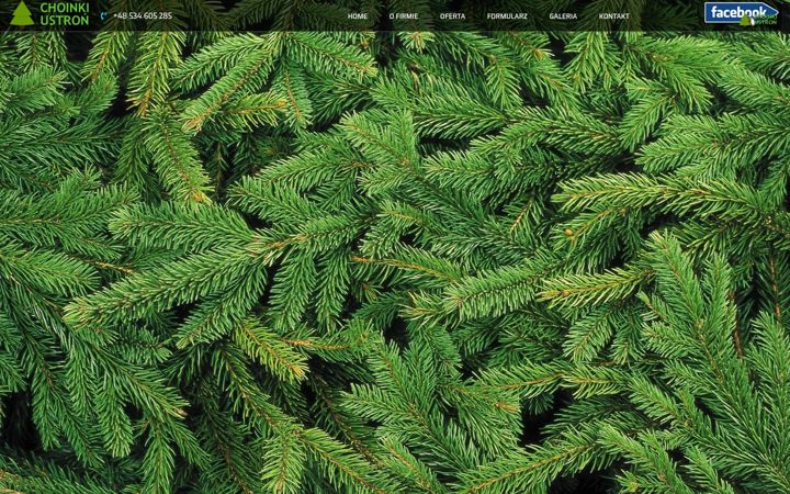 Screenshot of choinkiustron.pl