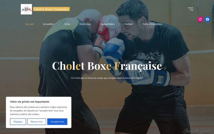 Zrzut ekranu choletbf.fr