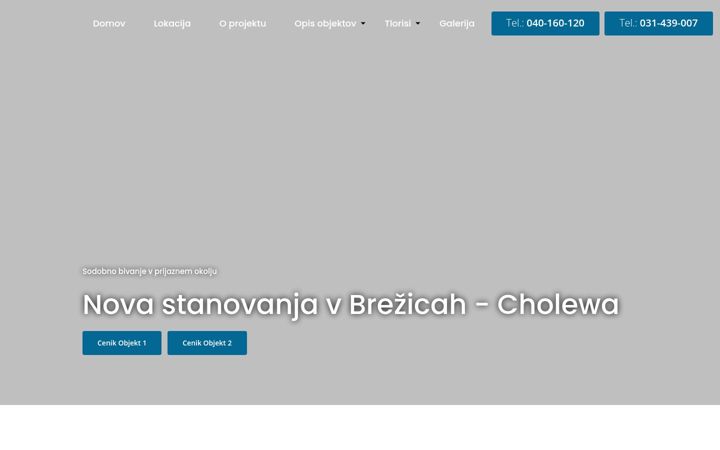 Screenshot von cholewa.si