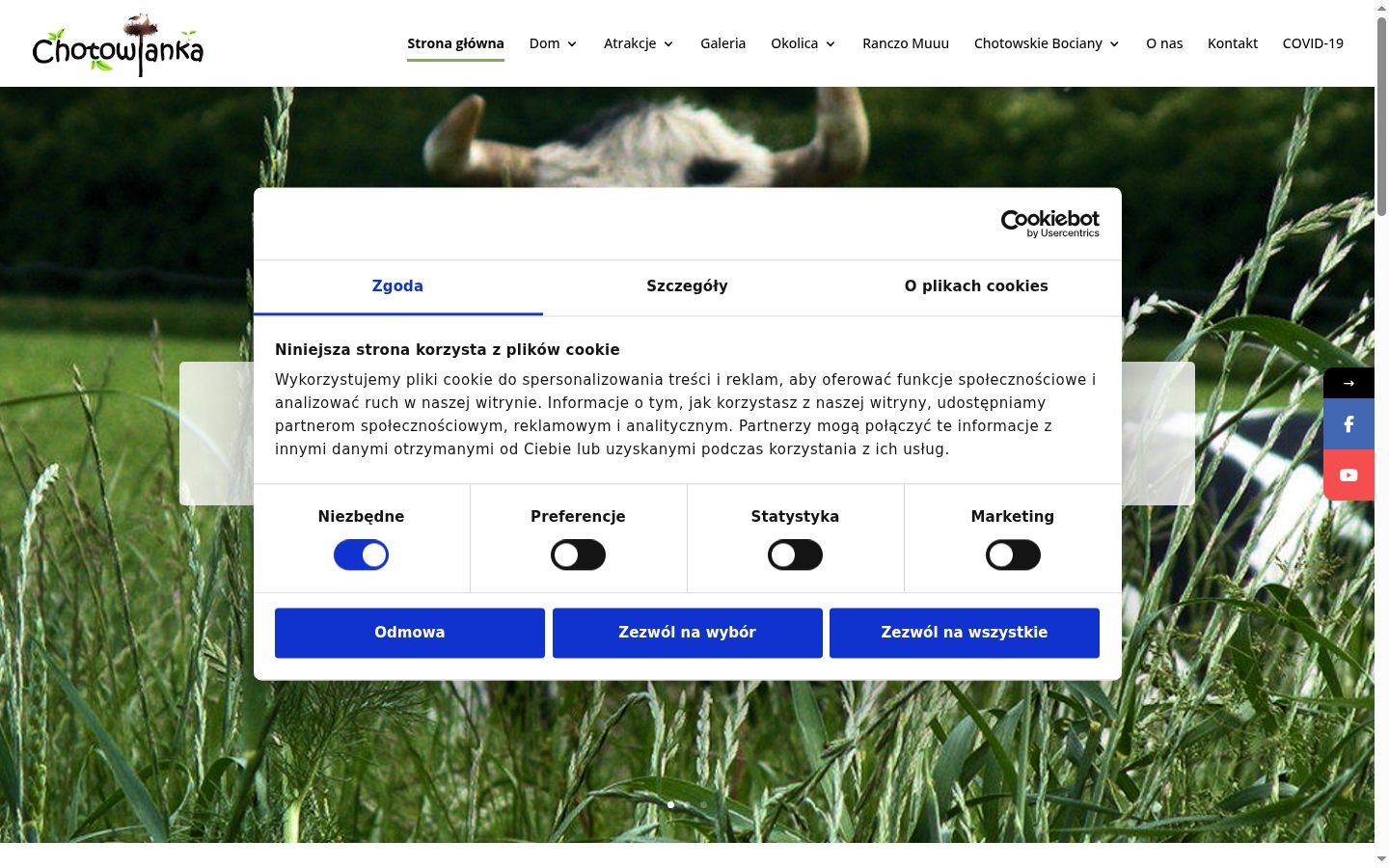 Screenshot of the consent banner shown before any interaction
