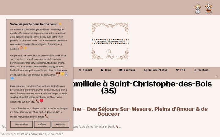 Screenshot von chouchou-pattounes-et-cie.fr